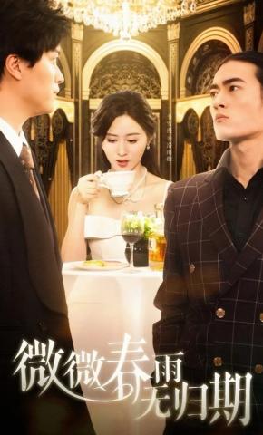 短剧《微微春雨无归期》海报