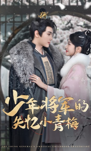 短剧《少年将军的失忆小青梅》海报