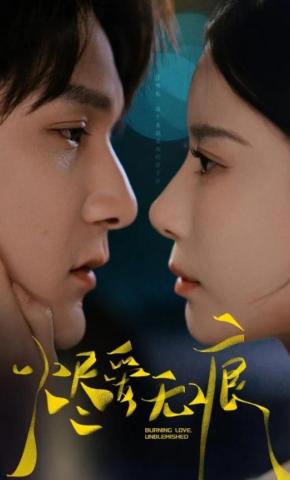 短剧《烬爱无痕》海报