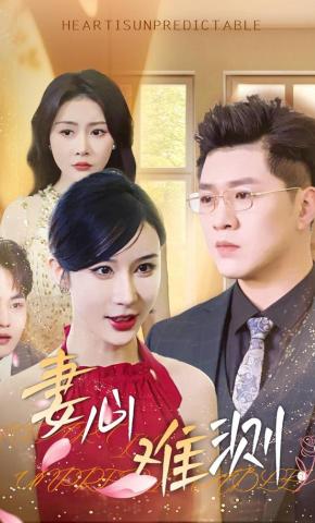 短剧妻心难测海报