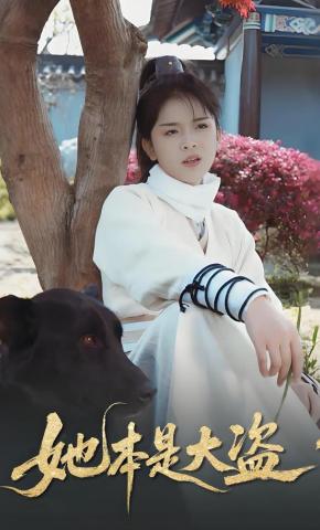 短剧她本是大盗海报