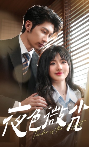 短剧《夜色微光》海报