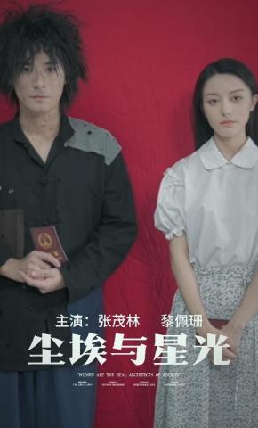 短剧尘埃与星光海报