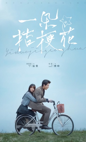 短剧《一朵桔梗花》海报