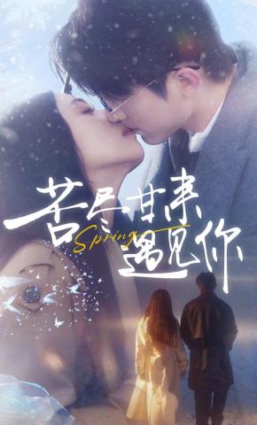 短剧《苦尽甘来遇见你》海报