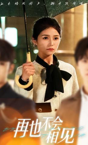 短剧再也不会相见海报