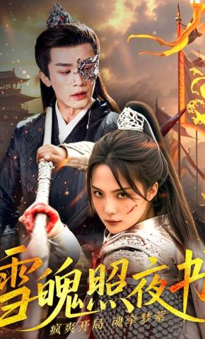 短剧雪魄照夜书海报