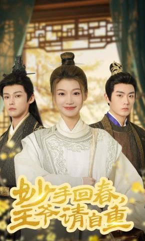短剧《妙手回春王爷请自重》海报