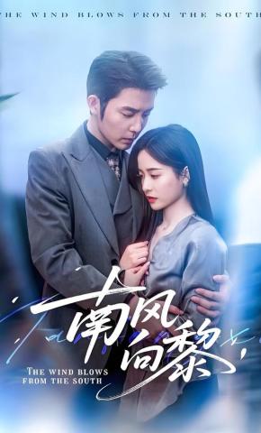 短剧《南风向黎》海报