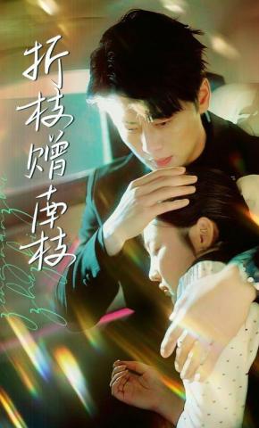 短剧《折枝赠南枝》海报