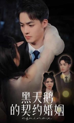 短剧《黑天鹅的契约婚姻》海报