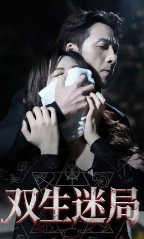 短剧《双生迷局》海报