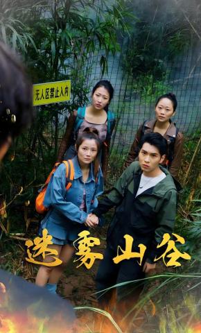 短剧《迷雾山谷》海报