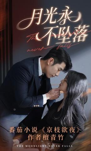 短剧月光永不坠落海报