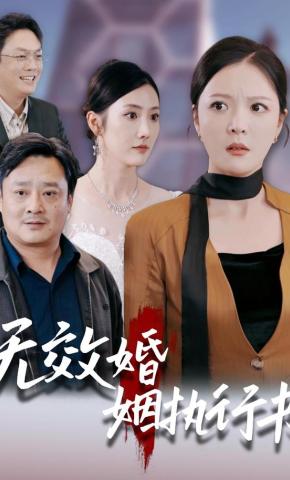 短剧《无效婚姻执行书》海报