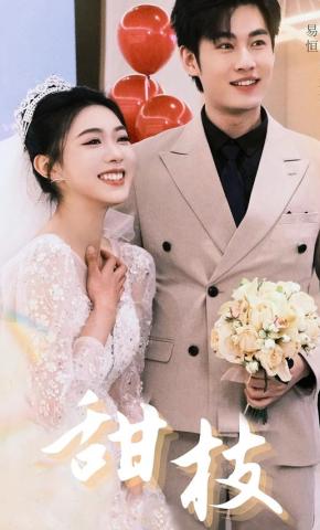 短剧《甜枝》海报