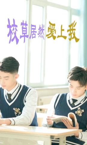短剧《校草居然爱上我》海报