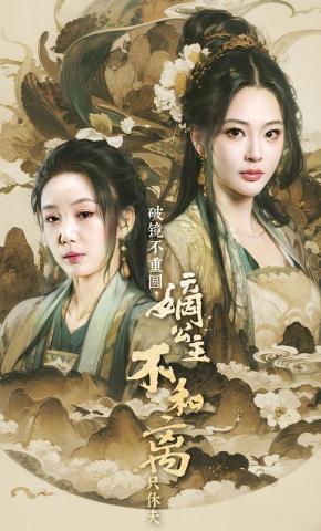 短剧《破镜不重圆，嫡公主不和离只休夫》海报