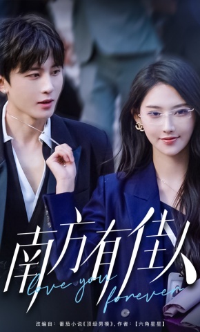 短剧《南方有佳人》海报