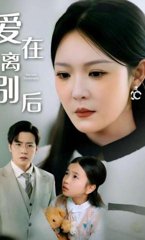 短剧爱在离别后海报