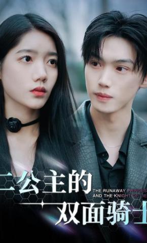 短剧二公主的双面骑士海报