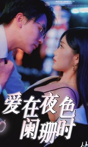 短剧爱在夜色阑珊时海报