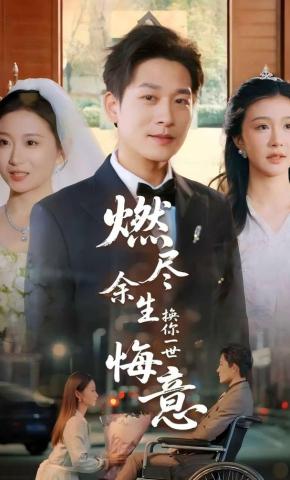 短剧燃尽余生换你一世悔意海报