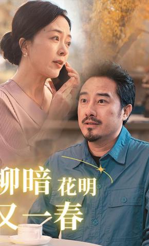 短剧《柳暗花明又一春》海报