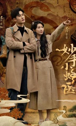 短剧妙手小蛇医海报