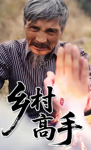 短剧乡村高手海报