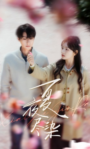 短剧《夏夜尽染》海报