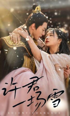 短剧许君一场雪海报