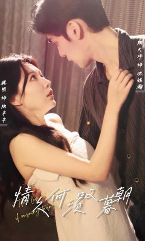 短剧《情久何须叹暮朝》海报