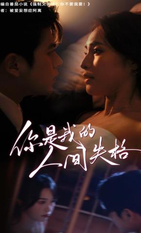 短剧你是我的人间失格海报