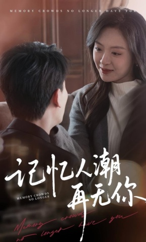 短剧《记忆人潮再无你》海报