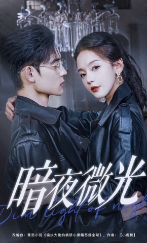 短剧《暗夜微光》海报