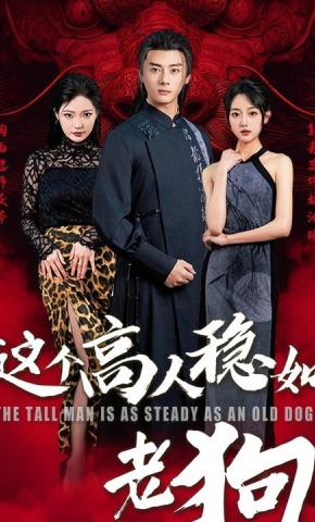 短剧《这个高手稳如老狗》海报