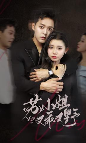 短剧《苏小姐又乖又野》海报