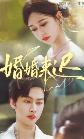 短剧《婚婚来迟》海报