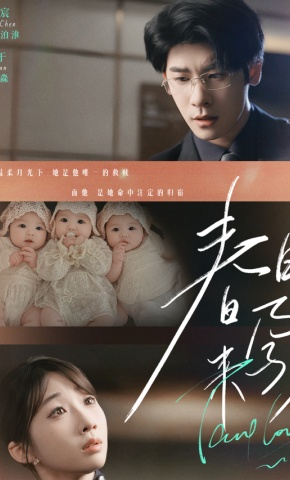 短剧春日来孕海报