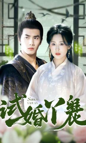 短剧《试婚丫鬟》海报