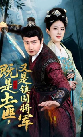 短剧《既是土匪，又是镇国将军》海报