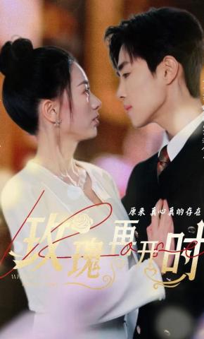 短剧玫瑰再开时海报