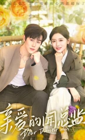 短剧《亲爱的闻总监》海报