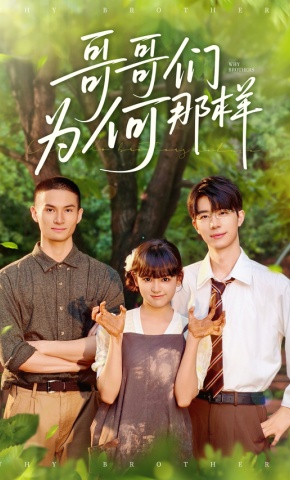 短剧哥哥们为何那样海报