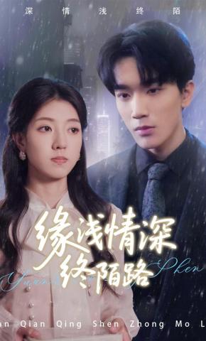 短剧缘浅情深终陌路海报