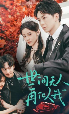 短剧世间无人再似我海报