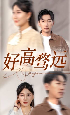 短剧好高骛远海报