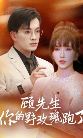 短剧顾先生，你的野玫瑰跑了海报