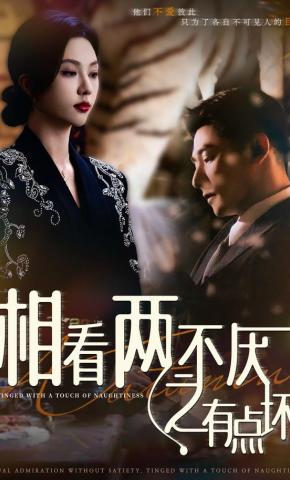 短剧《相看两不厌之有点坏》海报